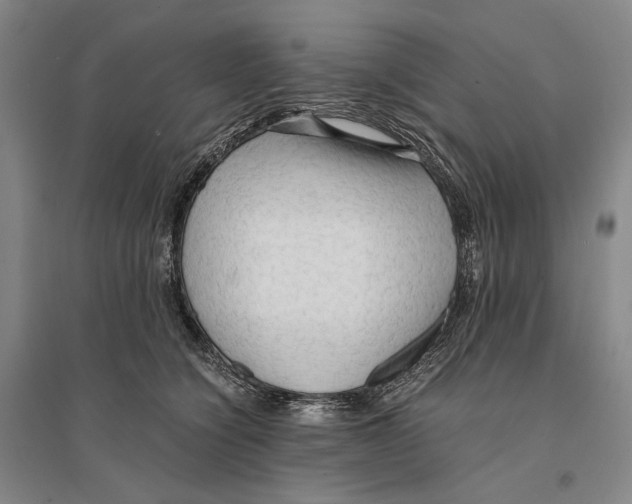 X0000095520564200801111439