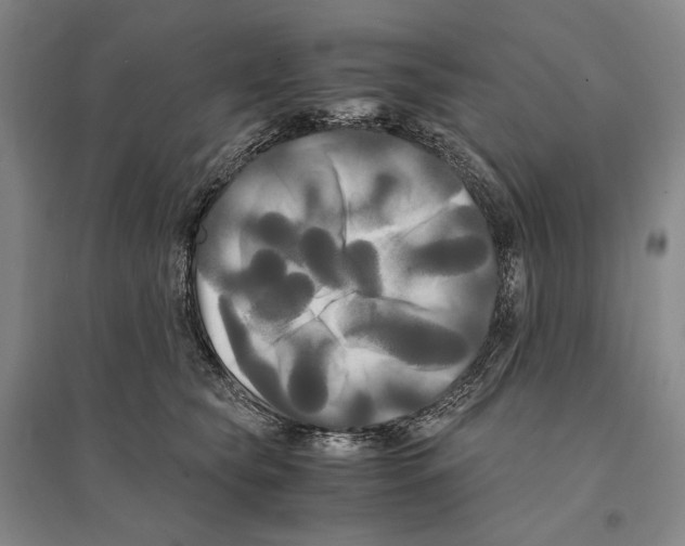 X0000095520565200801111439