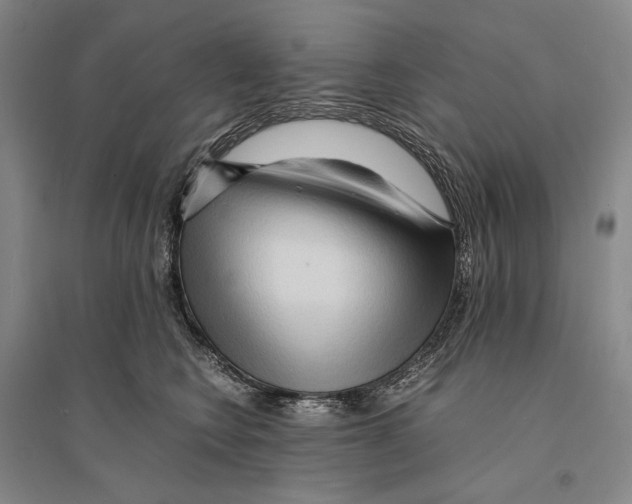 X0000095520566200801111439