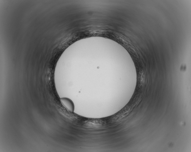 X0000095520567200801111439