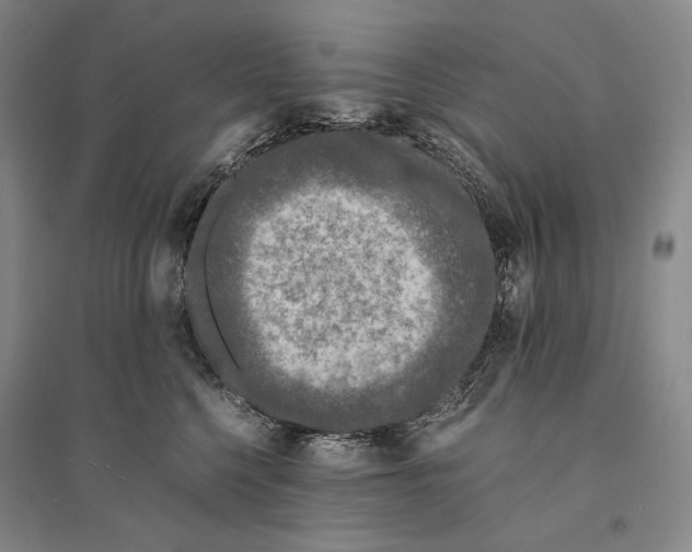 X0000095520568200801111439