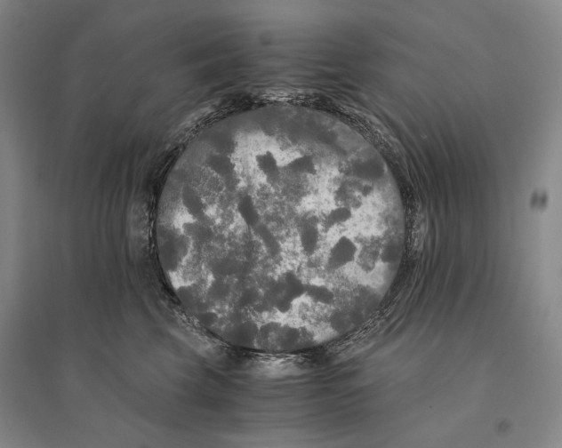 X0000095520569200801111439