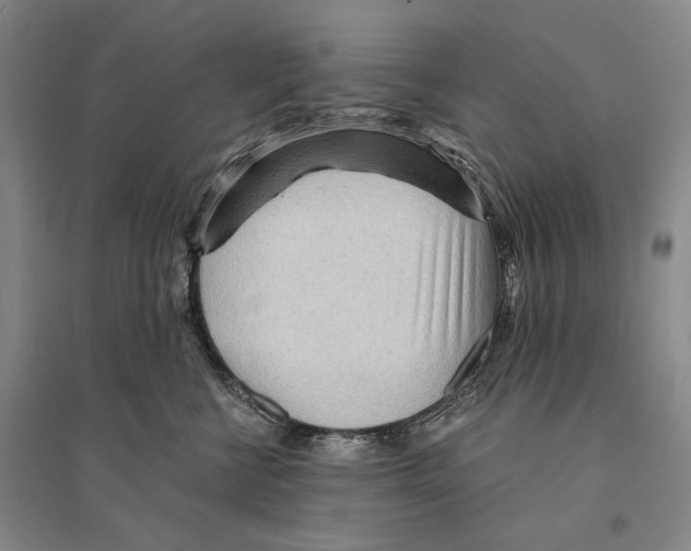 X0000095520570200801111439