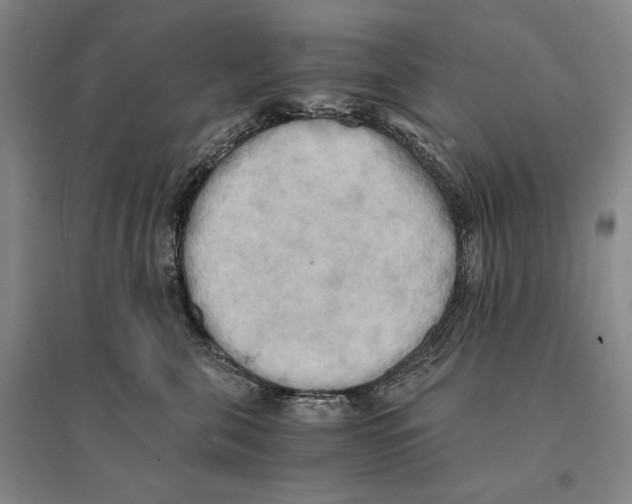 X0000095520571200801111439