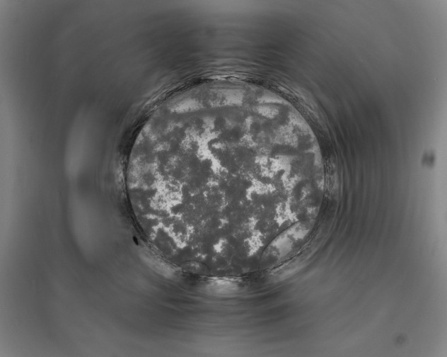 X0000095520573200801111439