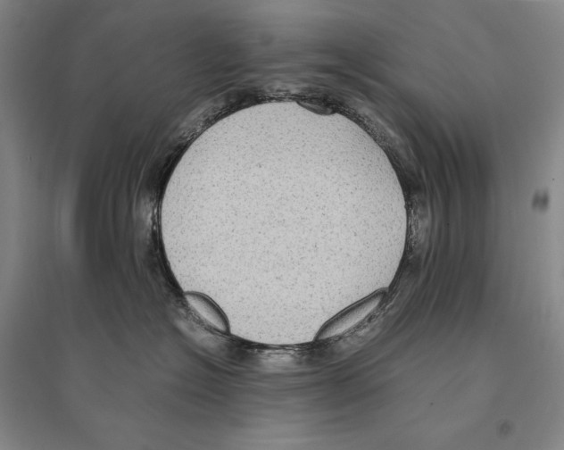 X0000095520574200801111439