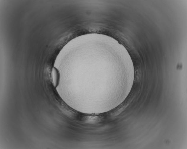 X0000095520575200801111439