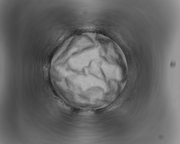 X0000095520576200801111439