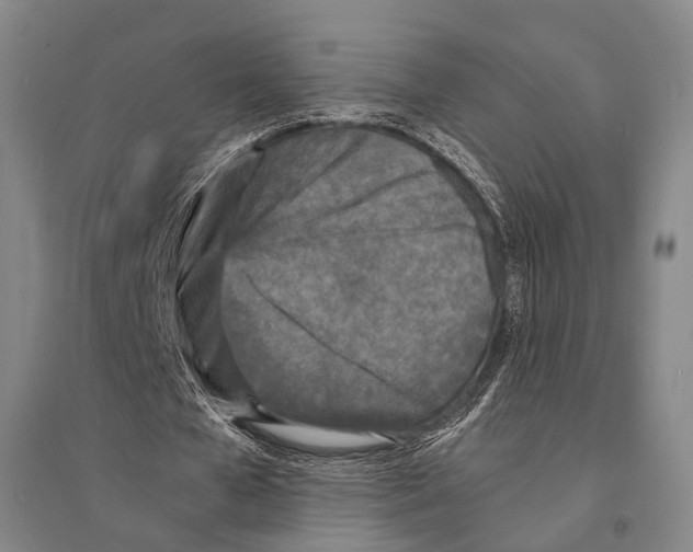 X0000095520577200801111438