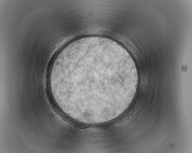 X0000095520578200801111438