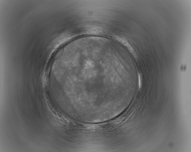 X0000095520579200801111438