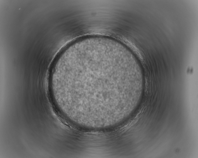 X0000095520580200801111438