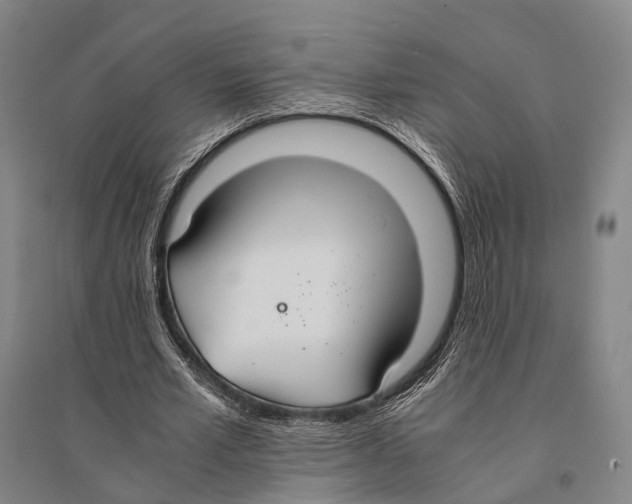 X0000095520581200801111438