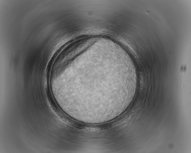 X0000095520582200801111438