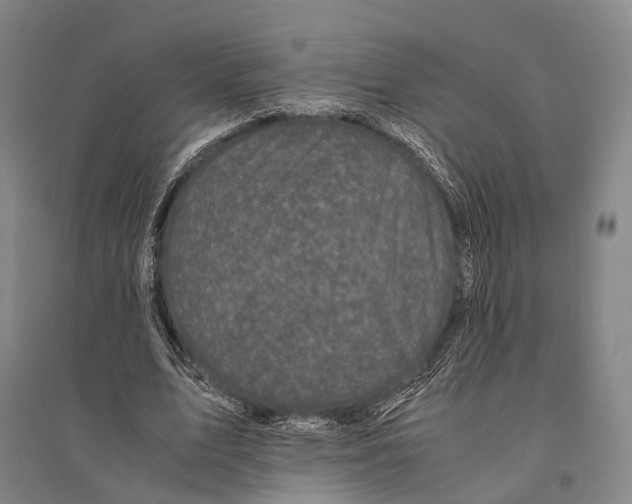 X0000095520583200801111438