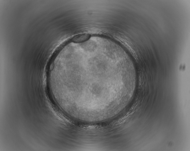 X0000095520584200801111438