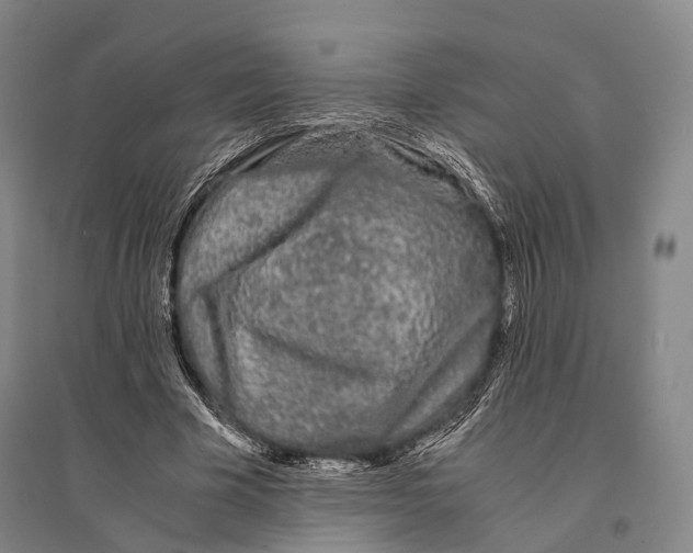 X0000095520585200801111438