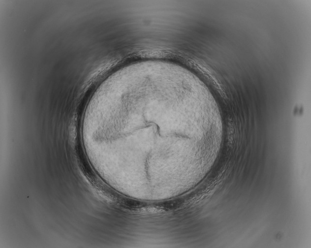 X0000095520586200801111438