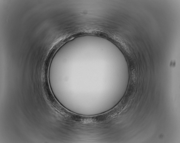 X0000095520587200801111438