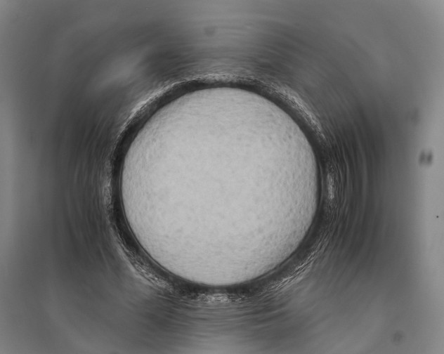 X0000095520588200801111438