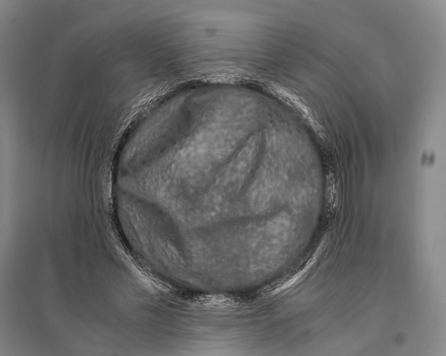 X0000095520589200801111438