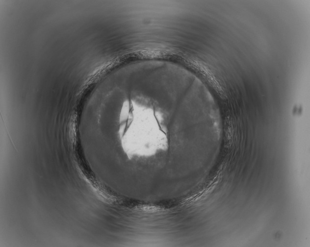 X0000095520590200801111438