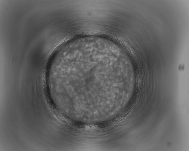 X0000095520591200801111438