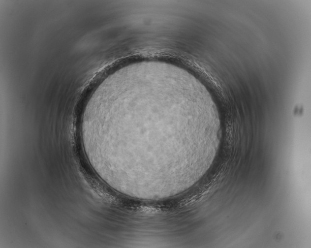 X0000095520592200801111438