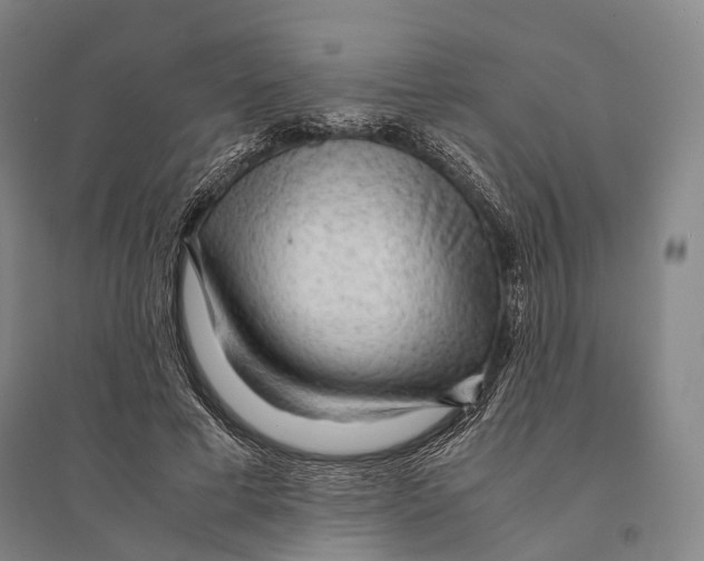 X0000095520593200801111438