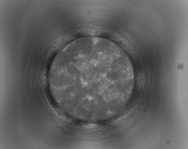 X0000095520594200801111438