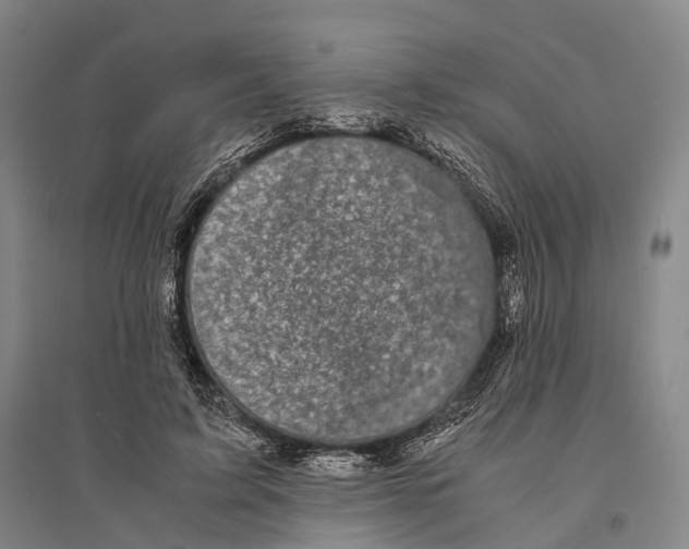 X0000095520595200801111438