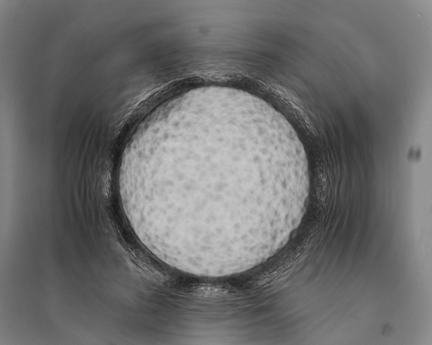 X0000095520596200801111438