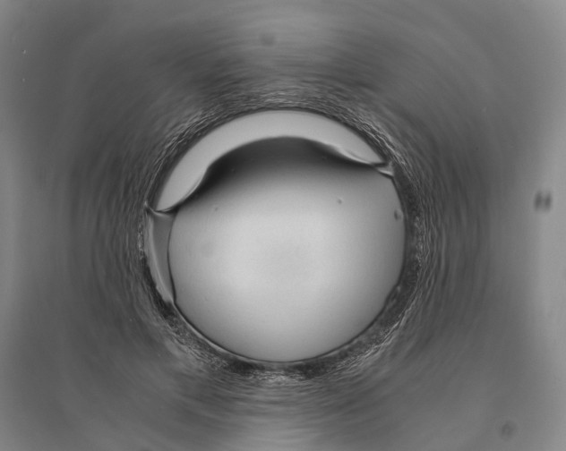 X0000095520597200801111438