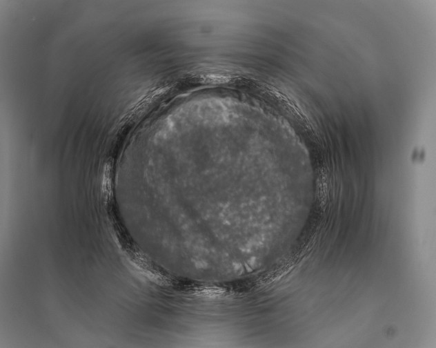 X0000095520598200801111438