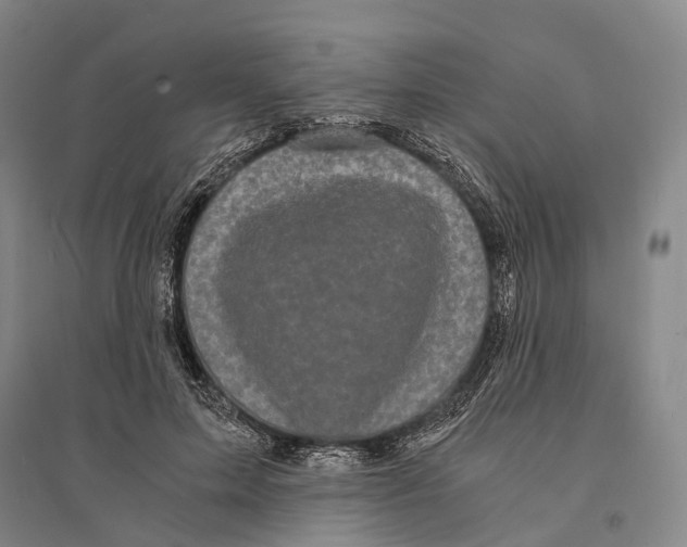 X0000095520599200801111438