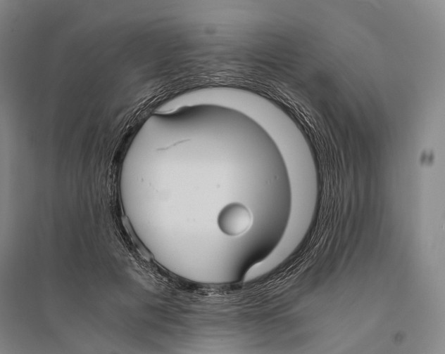 X0000095520601200801111438