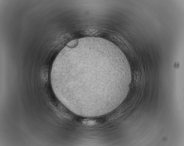 X0000095520602200801111438