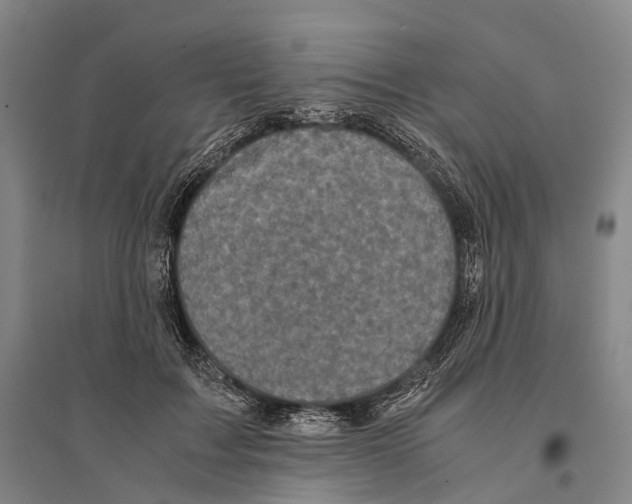 X0000095520603200801111438