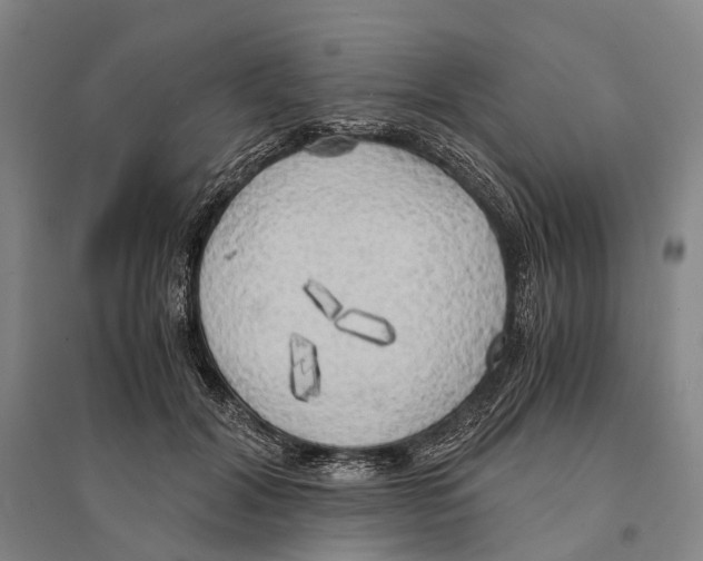 X0000095520604200801111438