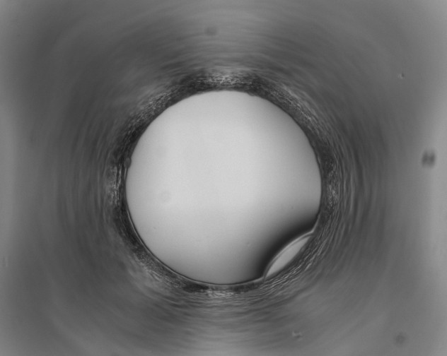 X0000095520605200801111438