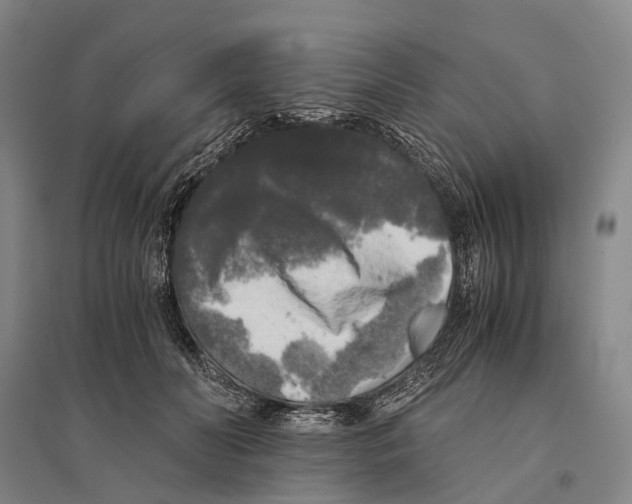 X0000095520606200801111438