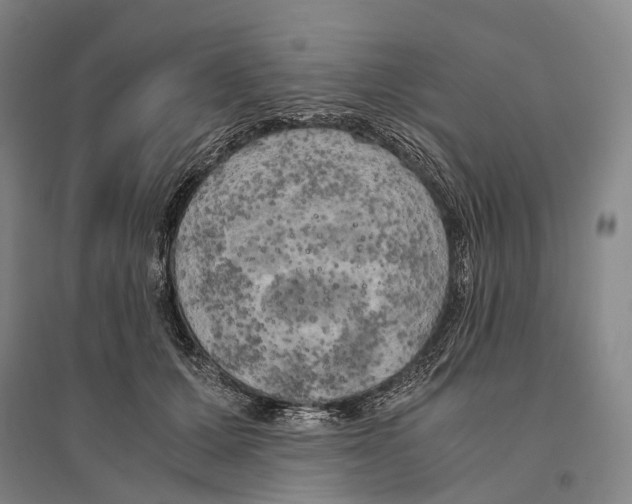 X0000095520607200801111438