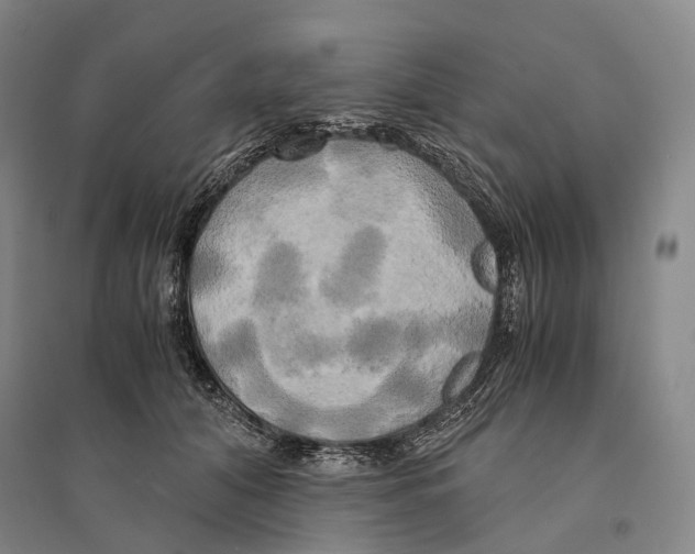 X0000095520608200801111438