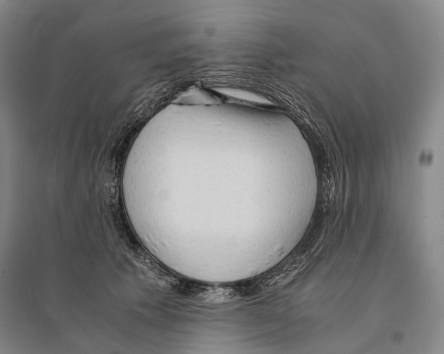 X0000095520609200801111438