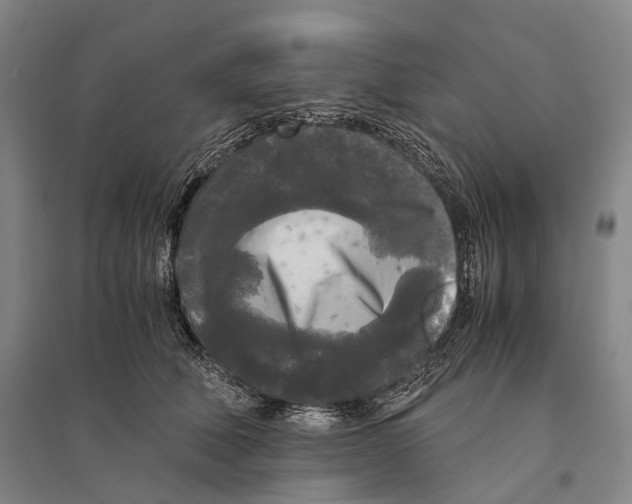 X0000095520610200801111437