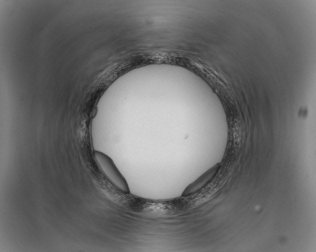 X0000095520611200801111437