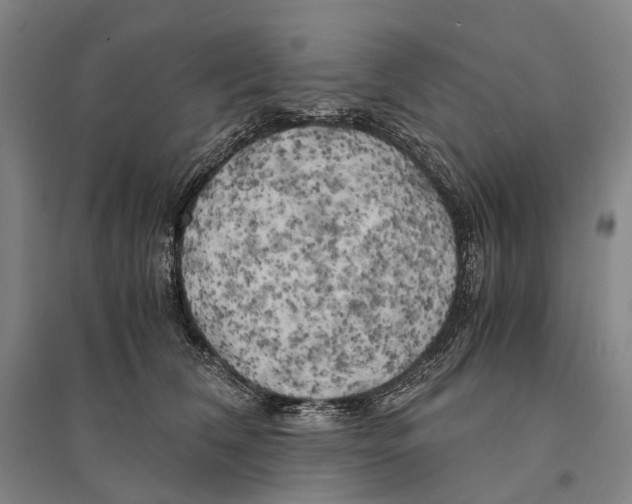 X0000095520612200801111437