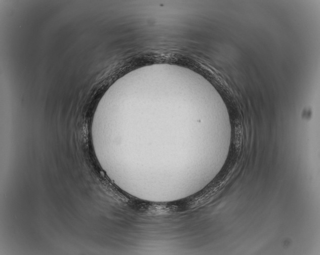 X0000095520613200801111437