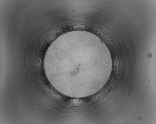 X0000095520614200801111437