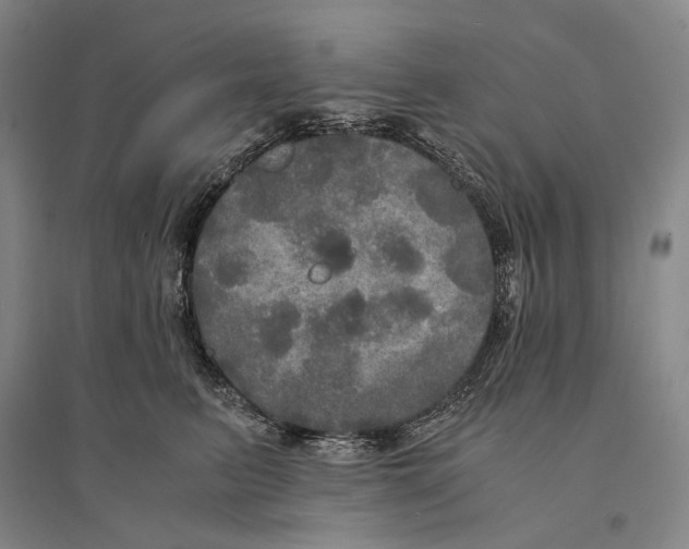 X0000095520615200801111437